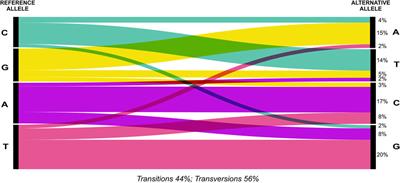 2b-RAD Genotyping of the Seagrass Cymodocea nodosa Along a Latitudinal Cline Identifies Candidate Genes for Environmental Adaptation